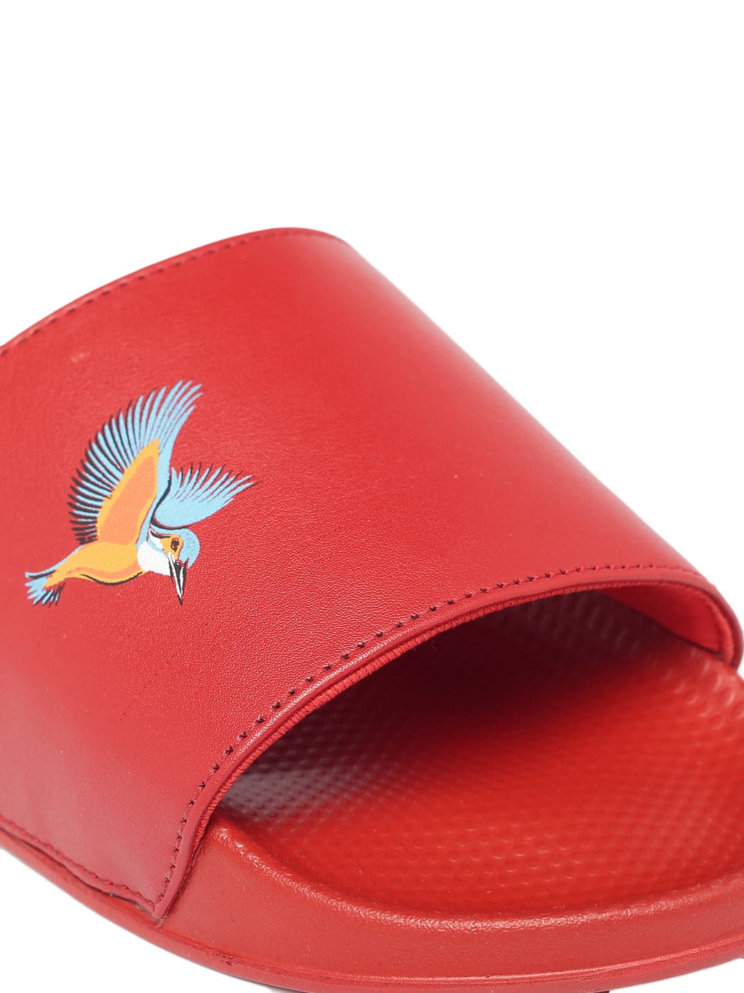 KF Bird Red Slider